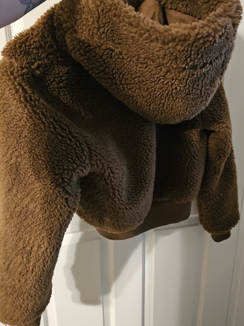 Aritzia Brown Teddy Sherpa Zip Jacket - Picture 6 of 6